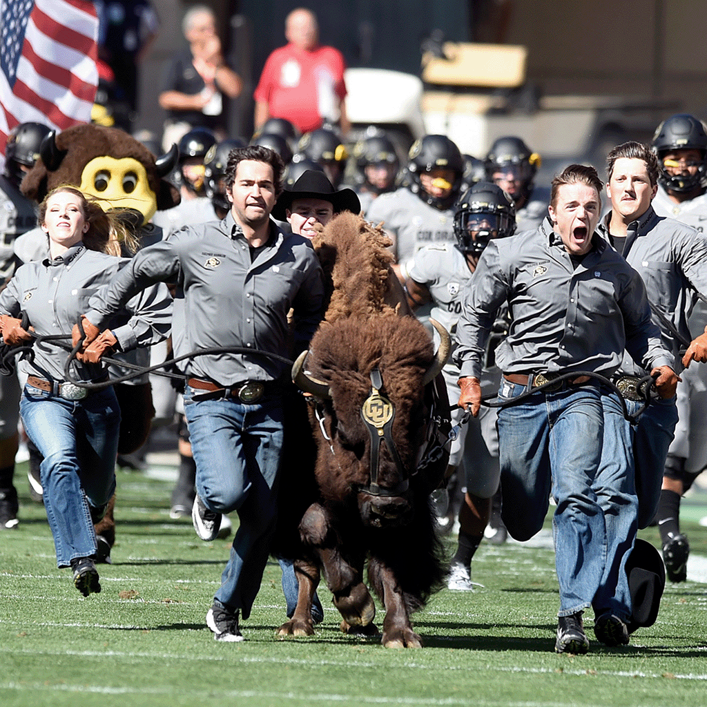 Handlers run with a buffalo mascot across a football field