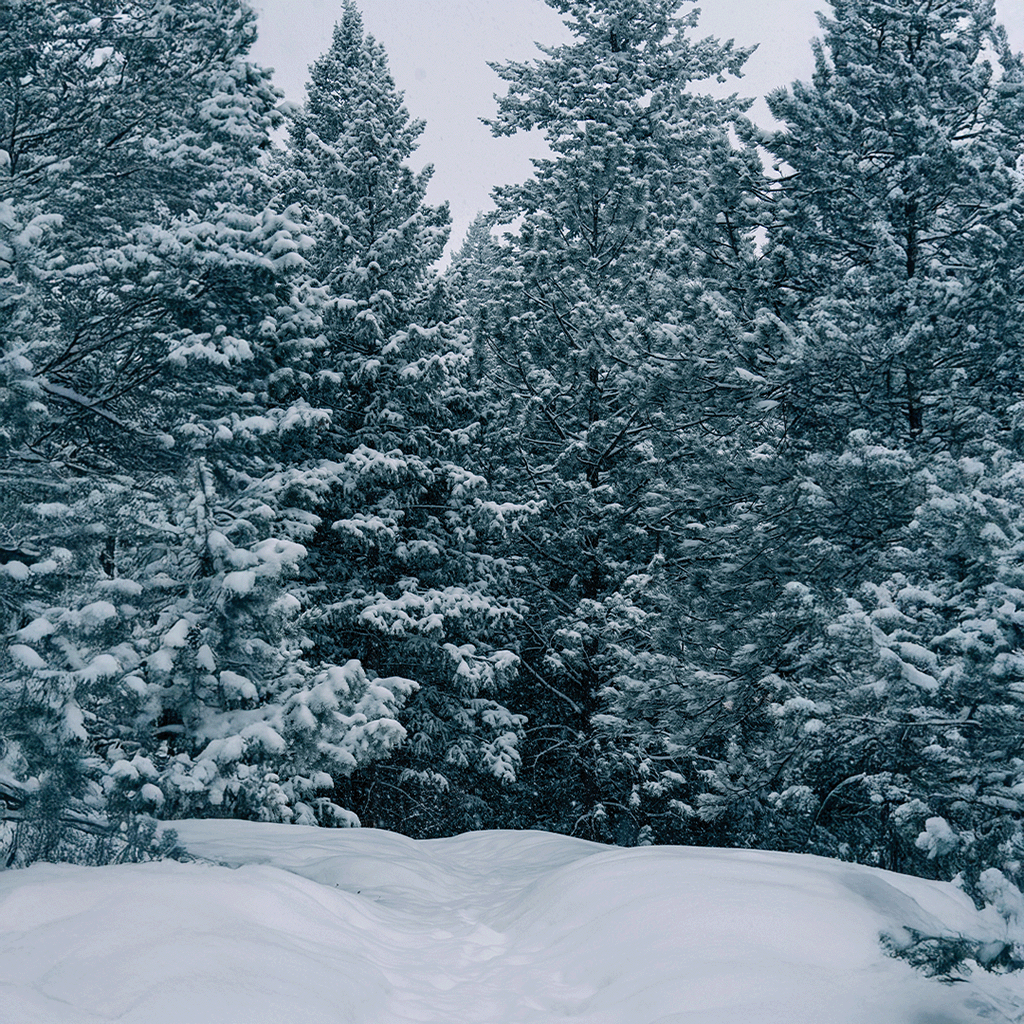 Weather in Boulder - Snowy hike in Boulder Colorado
