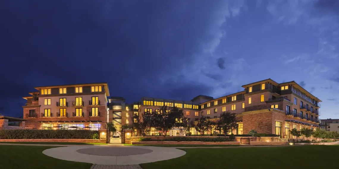 Black Friday & Cyber Monday