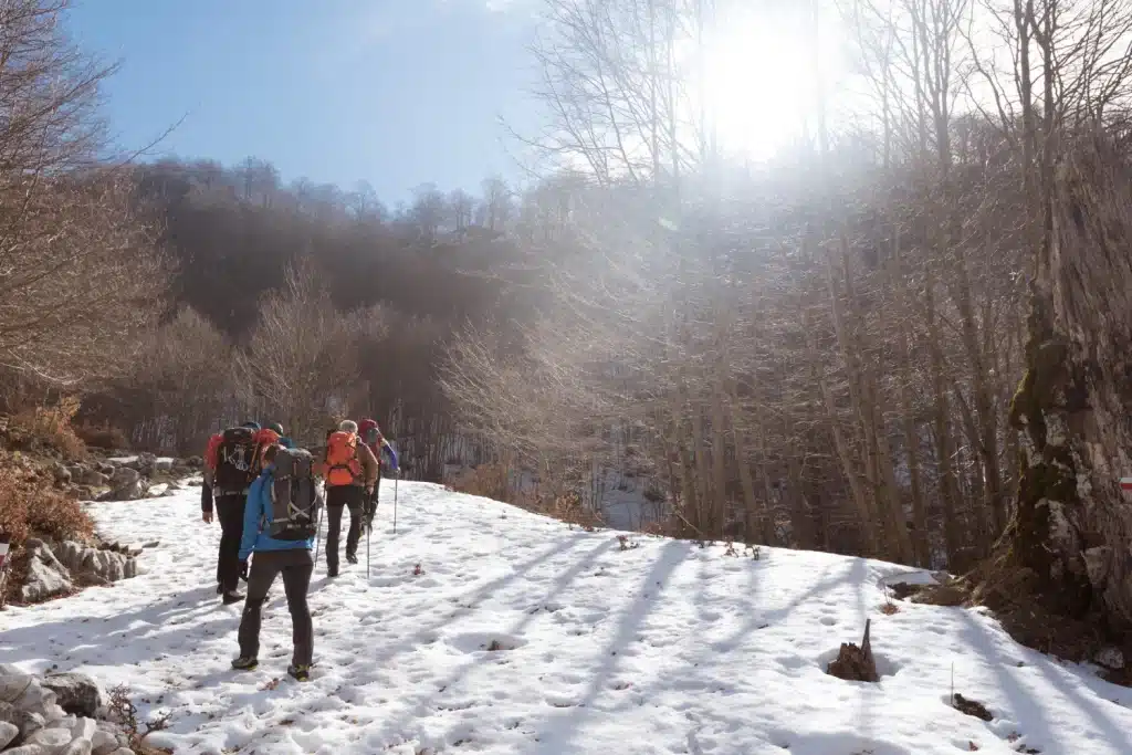 Group of hikers trekking along a snowy trail on a sunny winter day