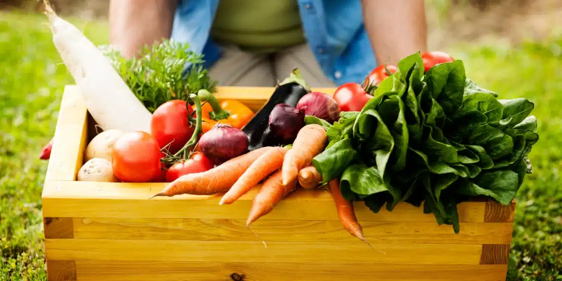 Wooden crate filled with a variety of fresh, organic vegetables