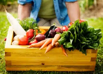 Wooden crate filled with a variety of fresh, organic vegetables