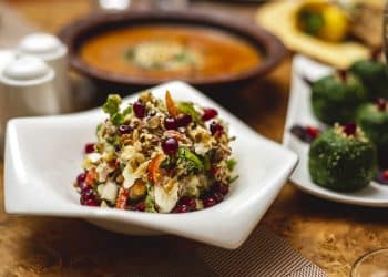 Vegan Restaurants in Boulder