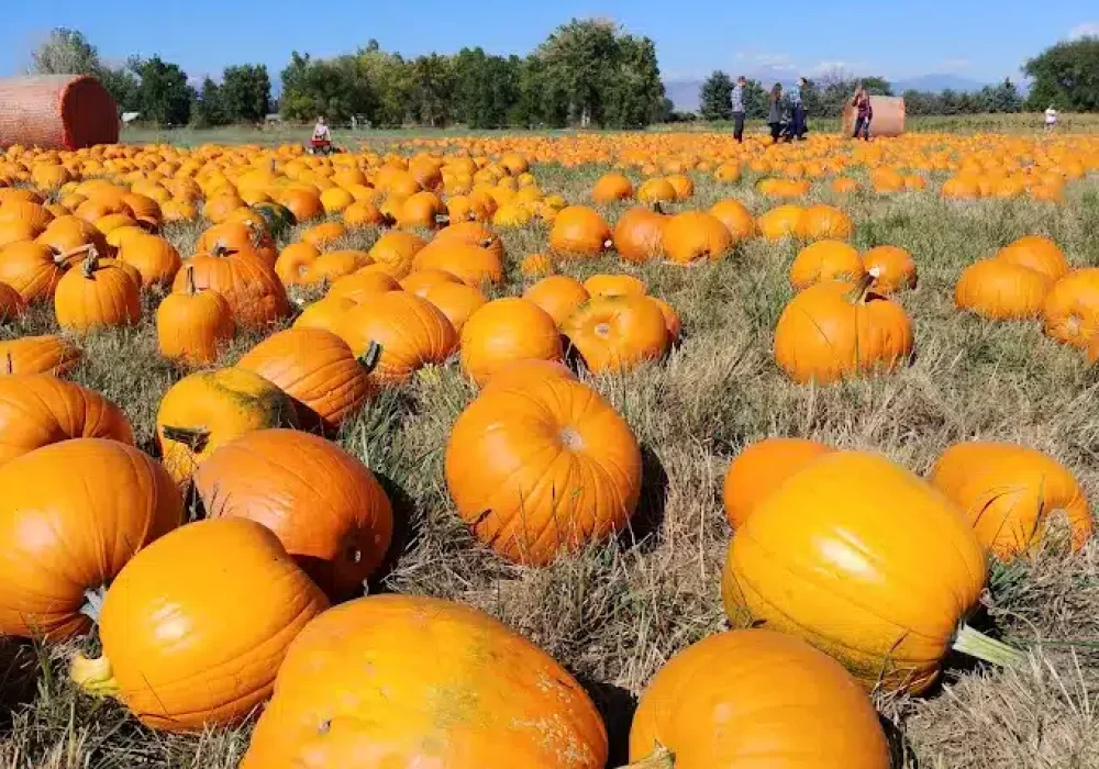 Cottonwood Farms