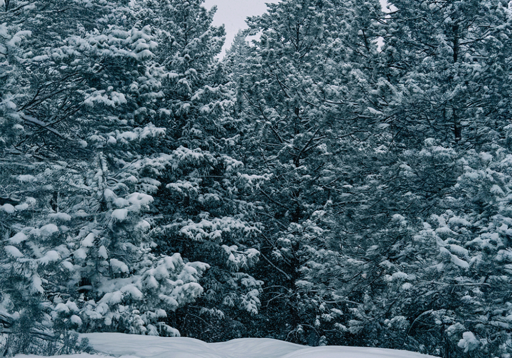 Weather in Boulder - Snowy hike in Boulder Colorado