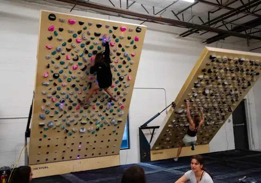 The Campus Climbing & Training
